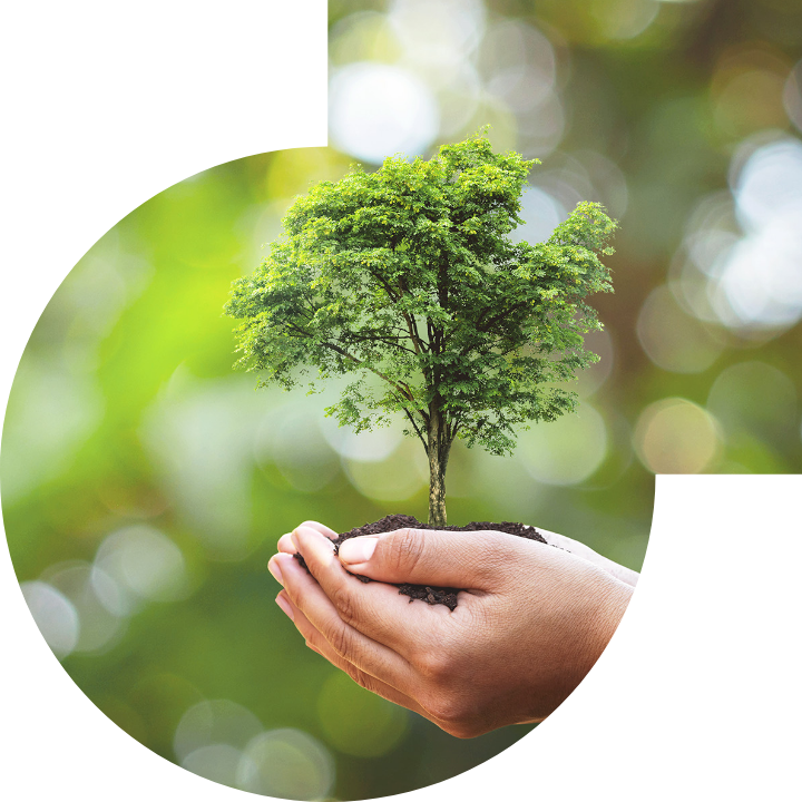 关怀人类、文化、环境与社会